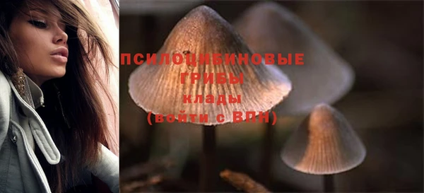 соль ск Богданович