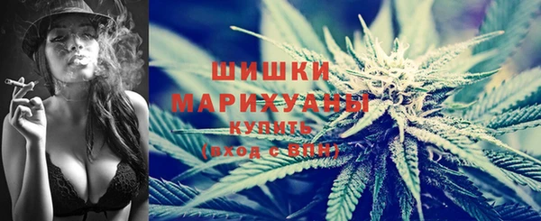 стафф Богородск