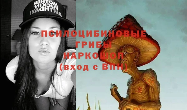 индика Баксан