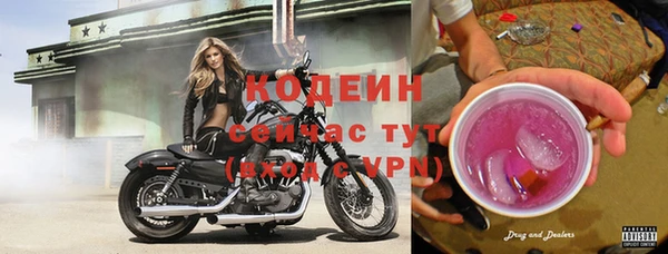 соль ск Богданович
