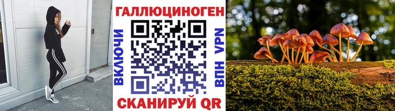Галлюциногенные грибы Magic Shrooms  Бугульма 